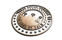 readiness survival class